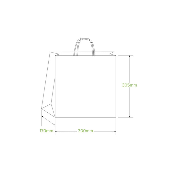 Large Twist Handle Kraft Paper Bags Ctn 250pcs