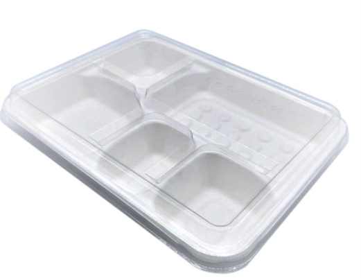 5 Compartment Natural Sugarcane Container Ctn 300pcs