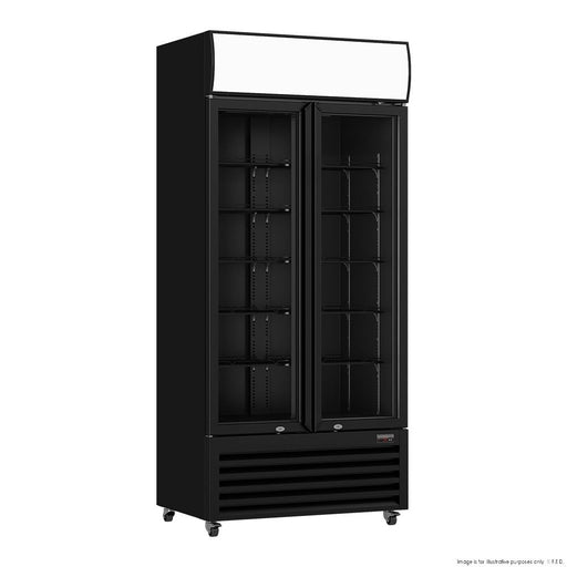 Thermaster Double Glass Door Colourbond Upright Drink Fridge - LG-580BP