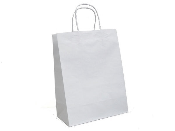 Paper Carry Bag White Twine Handle Ctn 250pcs