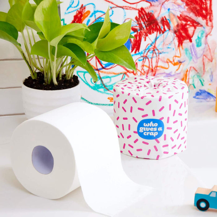 100% Recycled Toilet Paper - Ctn 48 Rolls
